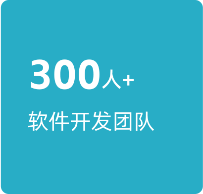 300人以上软件开发团队
